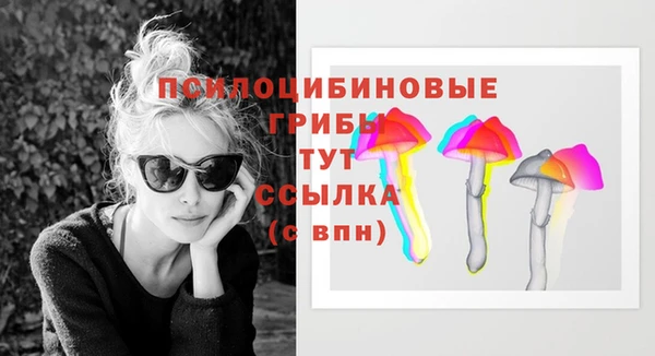 apvp Нефтегорск