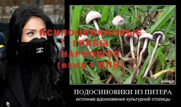 гидропоника Нефтекумск