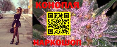 прущие крисы Дубна