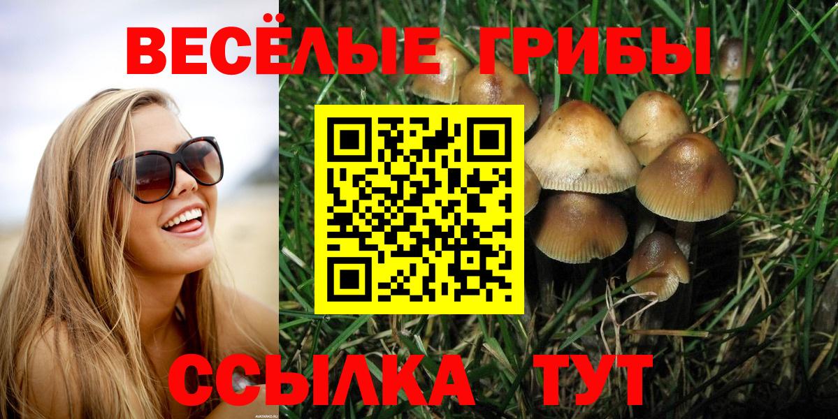 Псилоцибиновые грибы прущие грибы  Галлюциногенные грибы Cubensis  Зеленокумск 